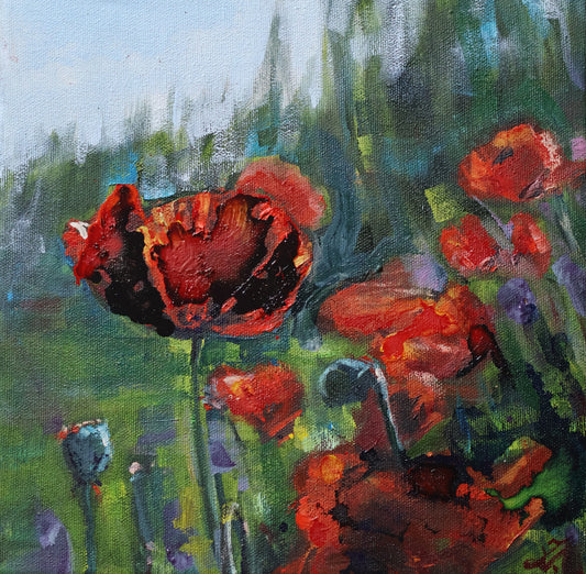 Zita Vevere painting of red blooming poppies