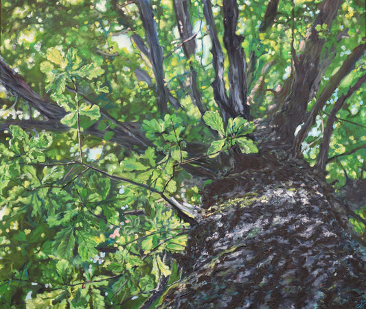 Zita Vevere painting of an oak tree in summer